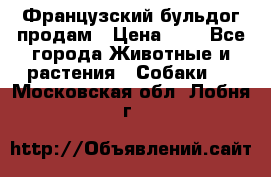 Французский бульдог продам › Цена ­ 1 - Все города Животные и растения » Собаки   . Московская обл.,Лобня г.